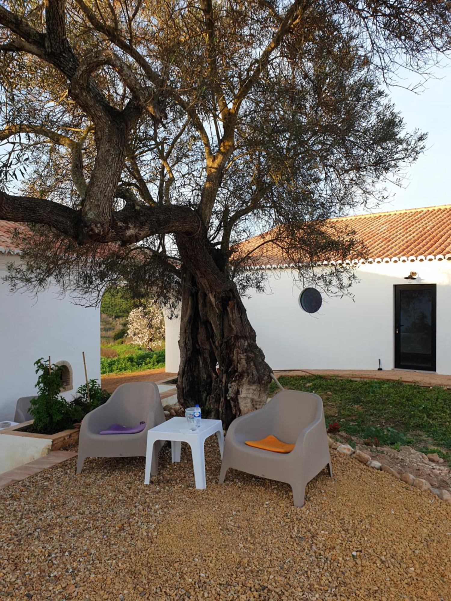 Monte Das Acoteias - Agroturismo Tavira Kültér fotó